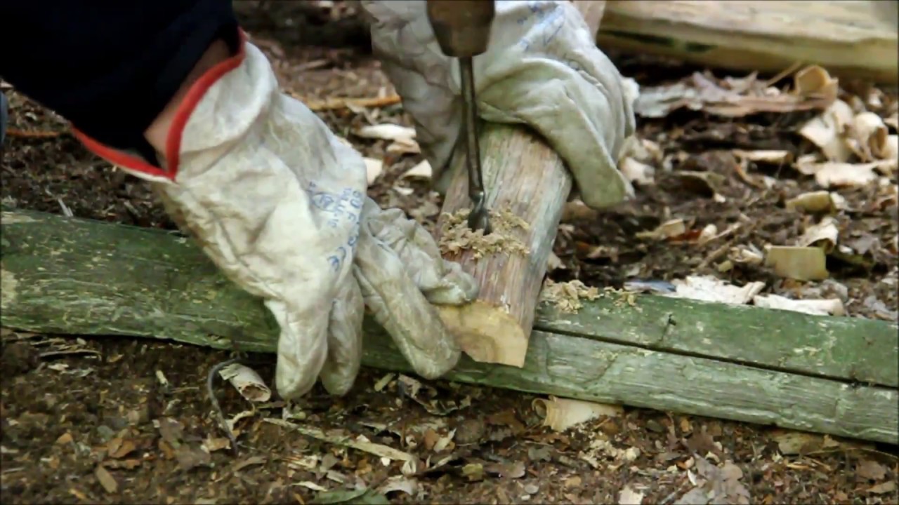 L'échelle des bois