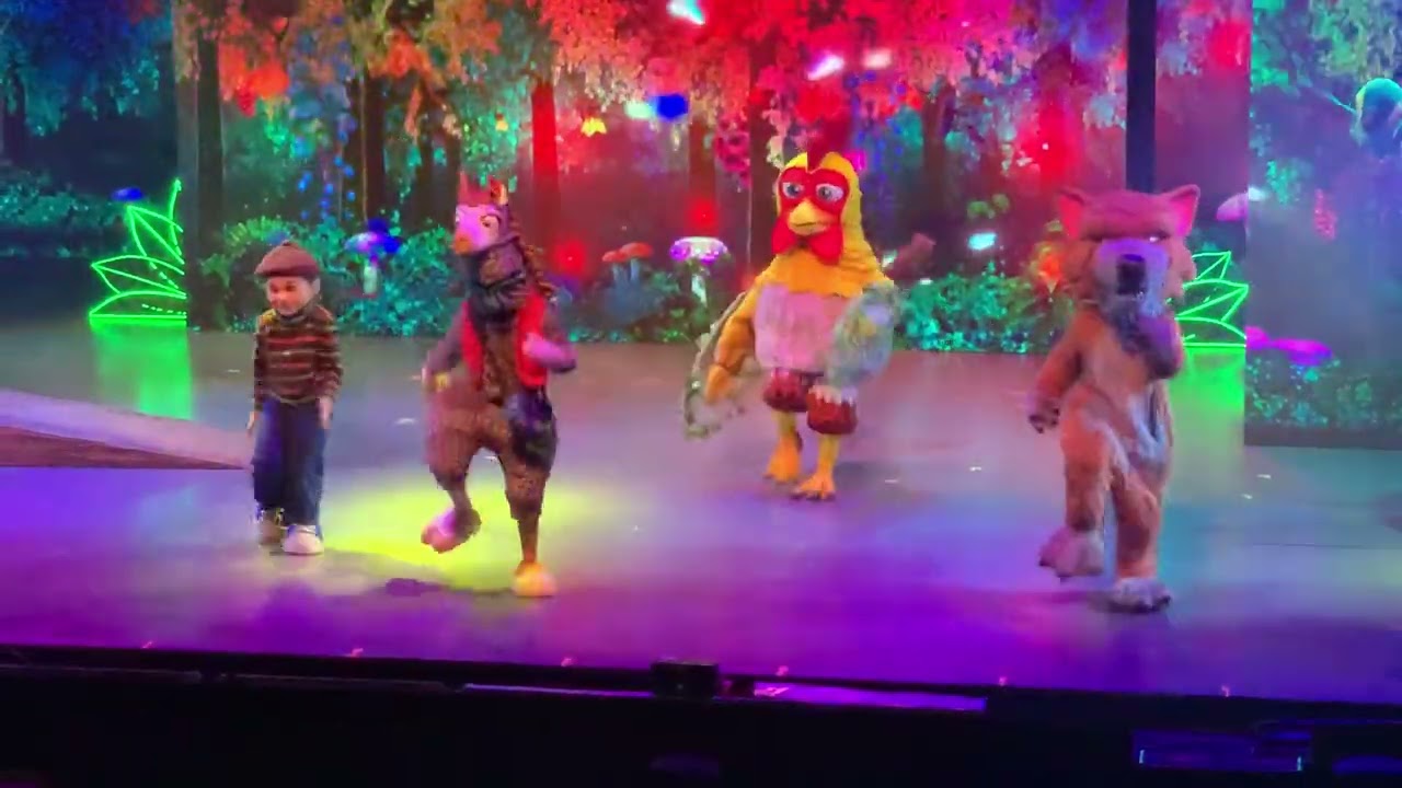 La llama que baila en vivo en la Granja de Zenón.