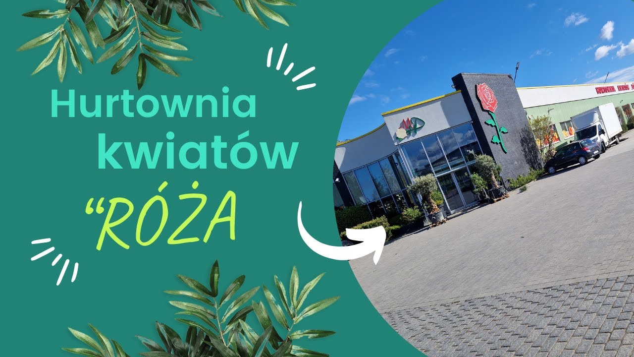 Ponownie hurtownia kwiatów 