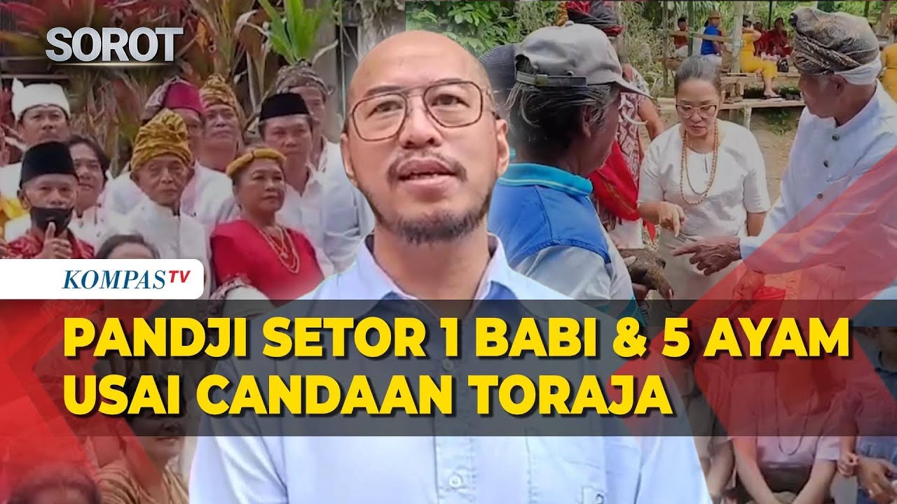 Pernyataan Komika Pandji usai Setor 1 Babi 5 Ayam Imbas Candaan Toraja