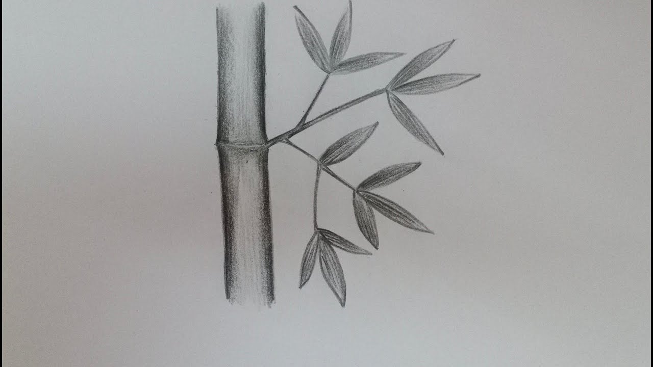 How to draw A Bamboo leaves for begginers //Vel's Art Classes...
