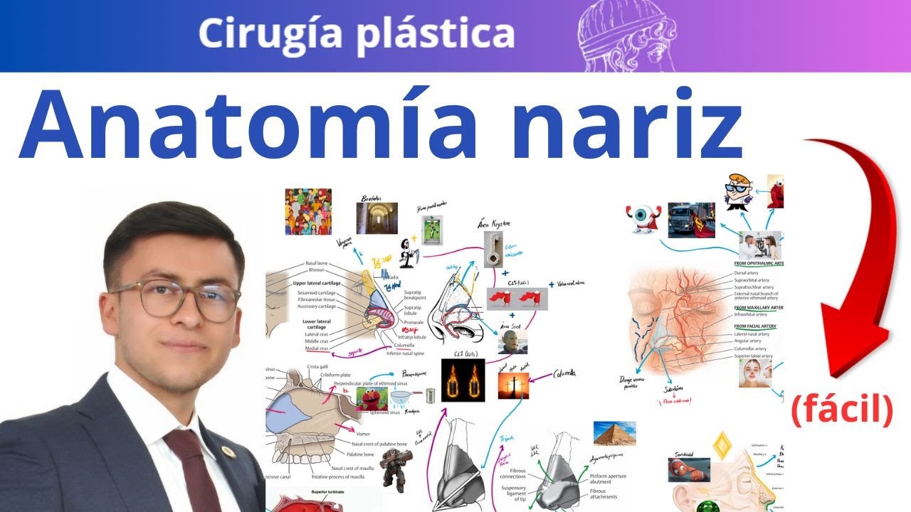 La anatomía de la nariz NO es complicada (si la entiendes así)