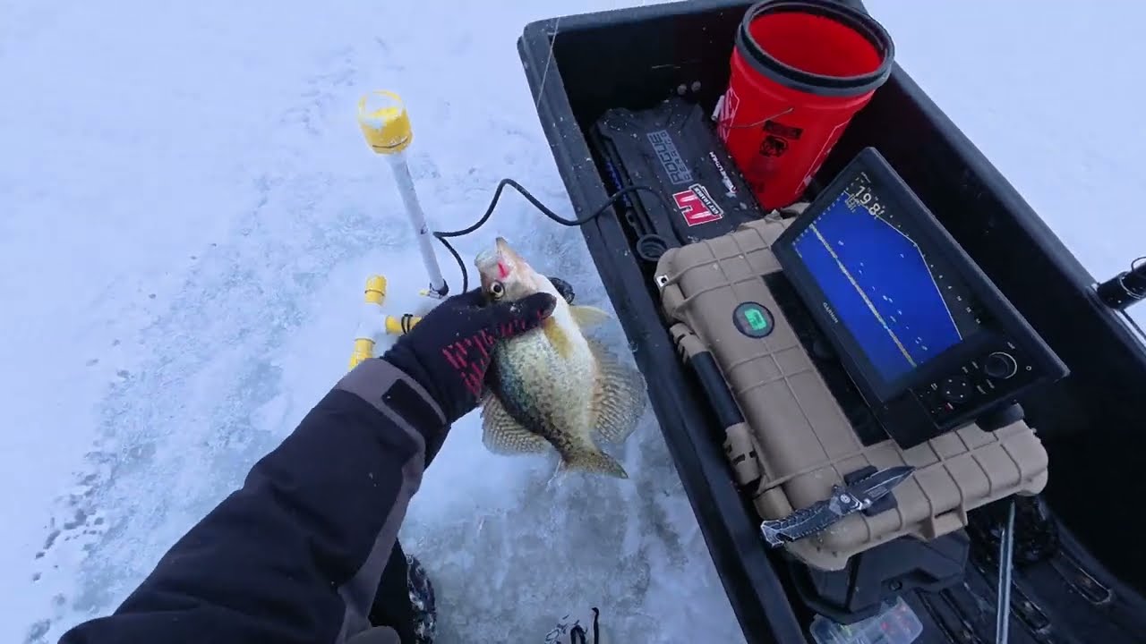 The Crappies wouldn't come to me.. so I went to them