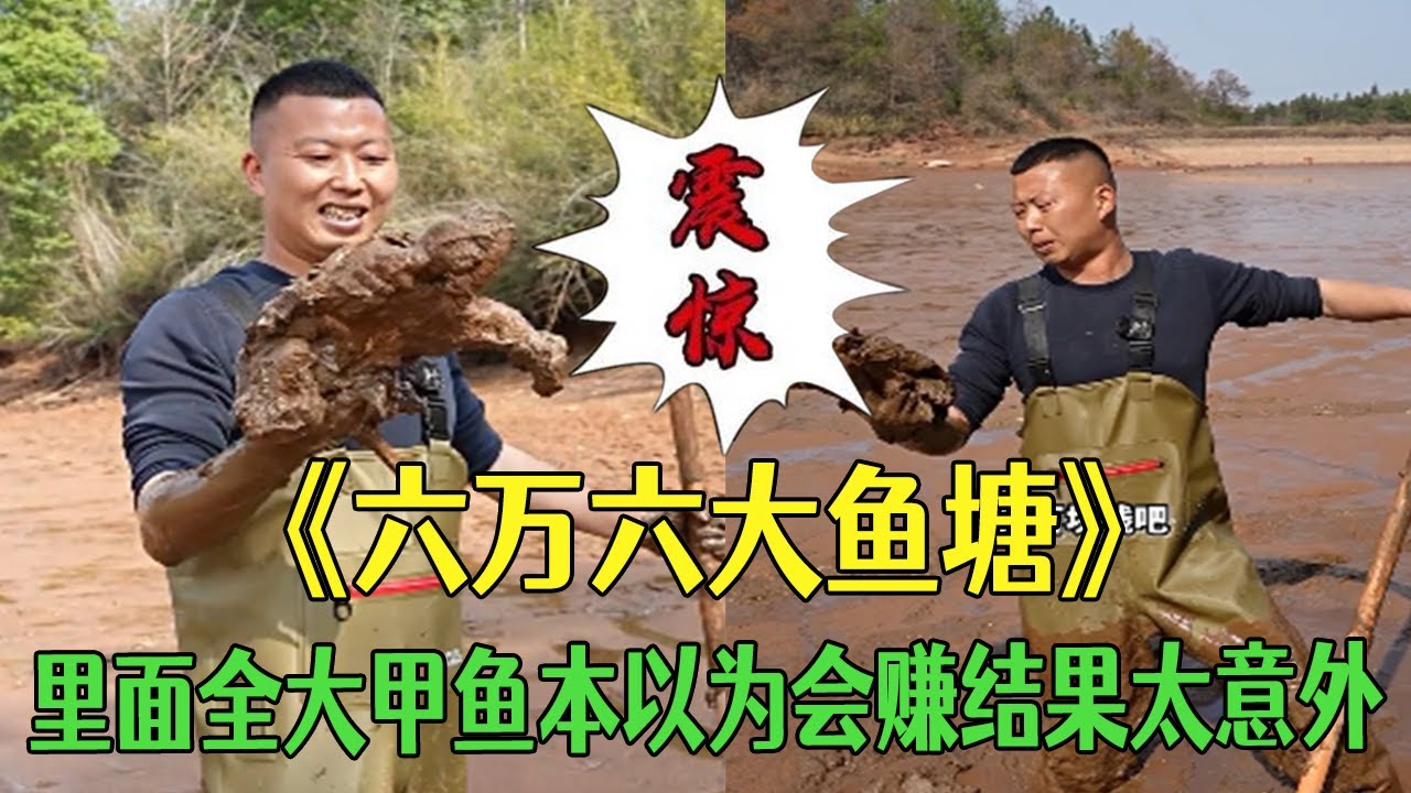 花6萬6包下壹個大魚塘，裏面全大甲魚，本以爲會賺結果太意外#小飛哥#三農 #新農人計劃2026 #鄉村守護人 #戶外