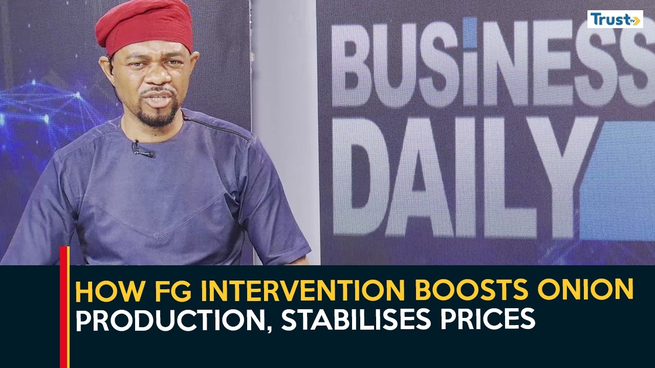 How FG intervention boosts onion production, stabilises prices | Business Daily