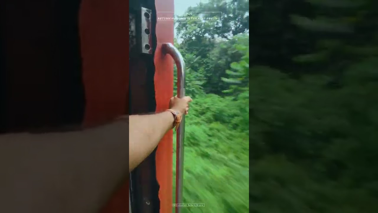 RETURNING HOME IS THE BEST FEELING | DOOARS TRAIN SAFARI | CINEMATIC SHORT | DOOARS, NORTHBENGAL