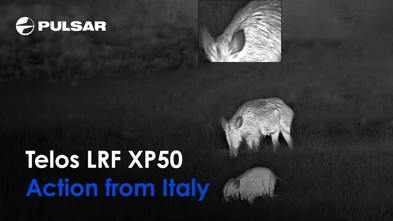 Pulsar Telos LRF XP50 | Thermal Monocular | In Action