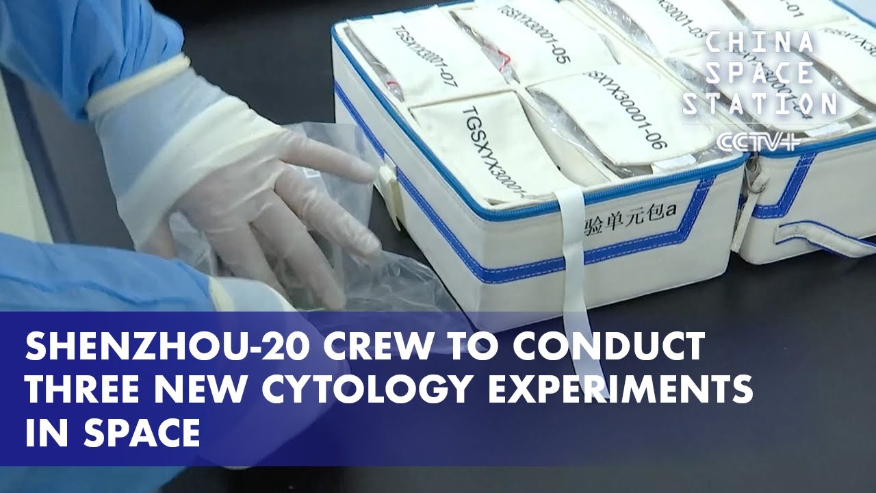 Shenzhou-20 Crew to Conduct Three New Cytology Experiments in Space