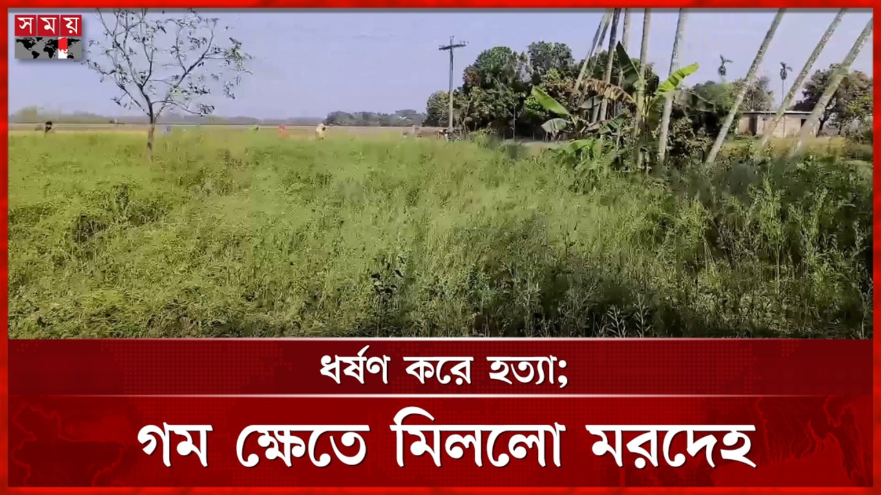 পাবনায় দাদিকে হ ত্যা র পর নাতনিকে তুলে নিয়ে ধ র্ষ ণ করে হ ত্যা | Pabna News | Somoy TV