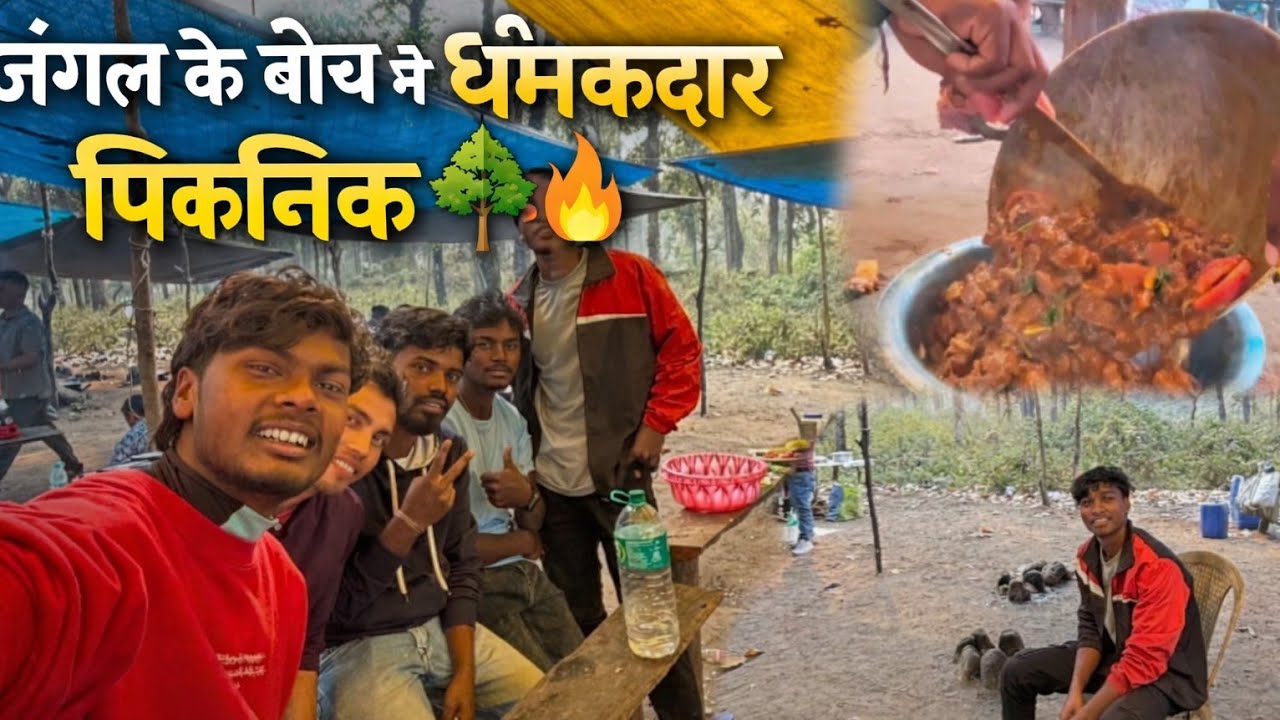 Picnik 🧺 jangal ke bich me full masti 😜 dosto ke sath TOPPO VLOG TOPPO BOY adivasi herobhai....