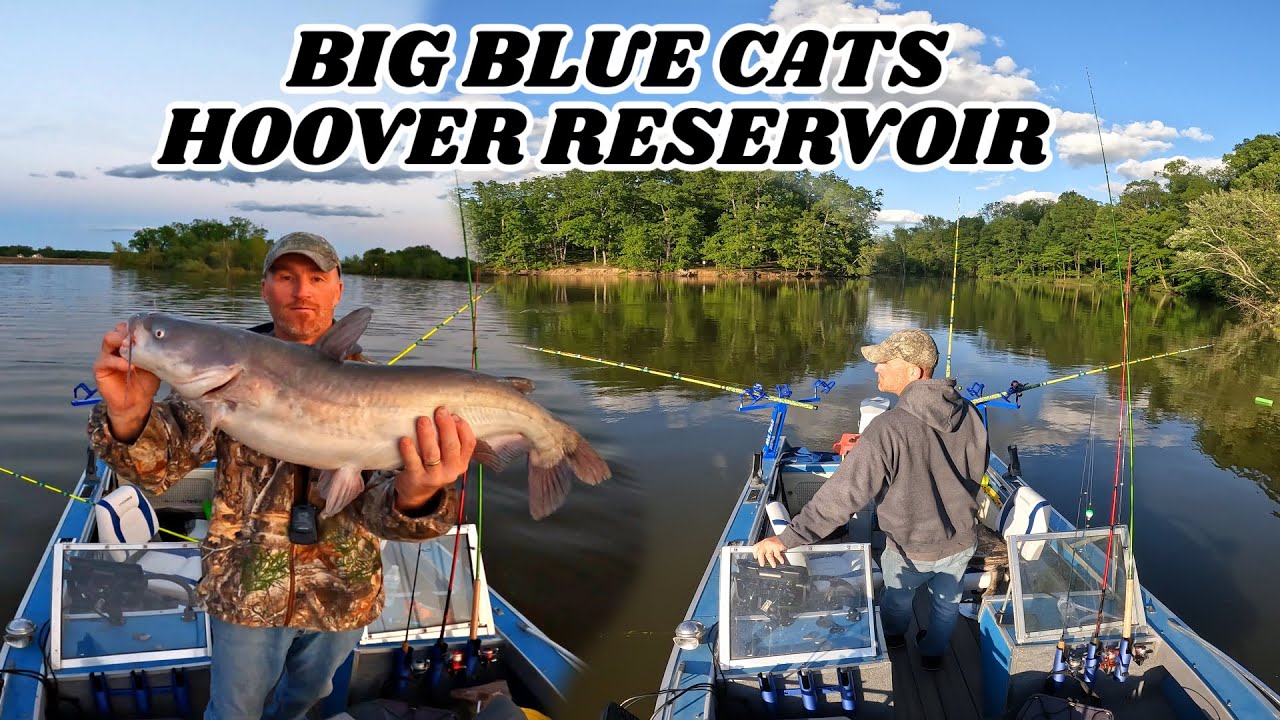 DRAGGING BAITS for BLUE CATS in Hoover Reservoir!!