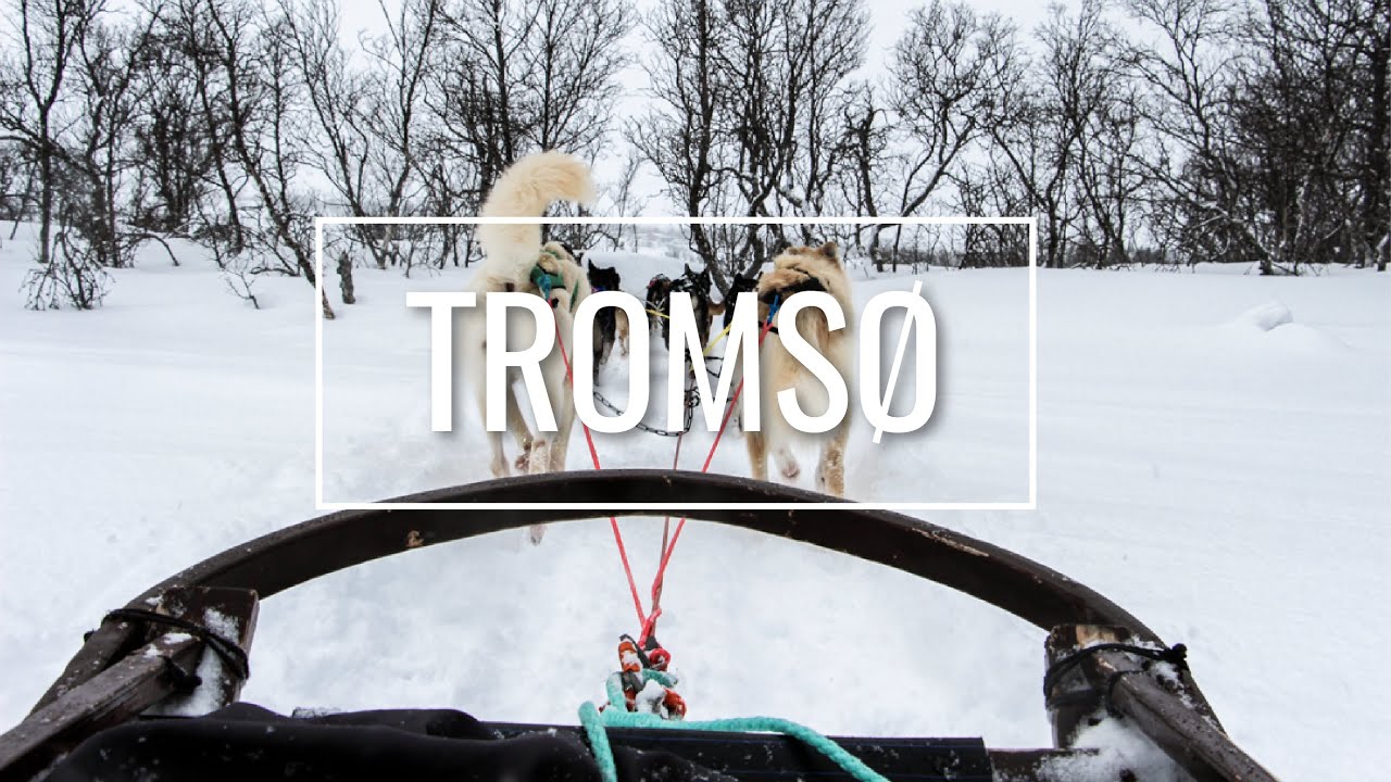 Un séjour à Tromsø, dans le Nord de la Norvège