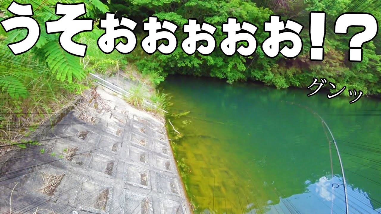 誰も来ない山頂の池で、えっ！？！？！？【衝撃映像】