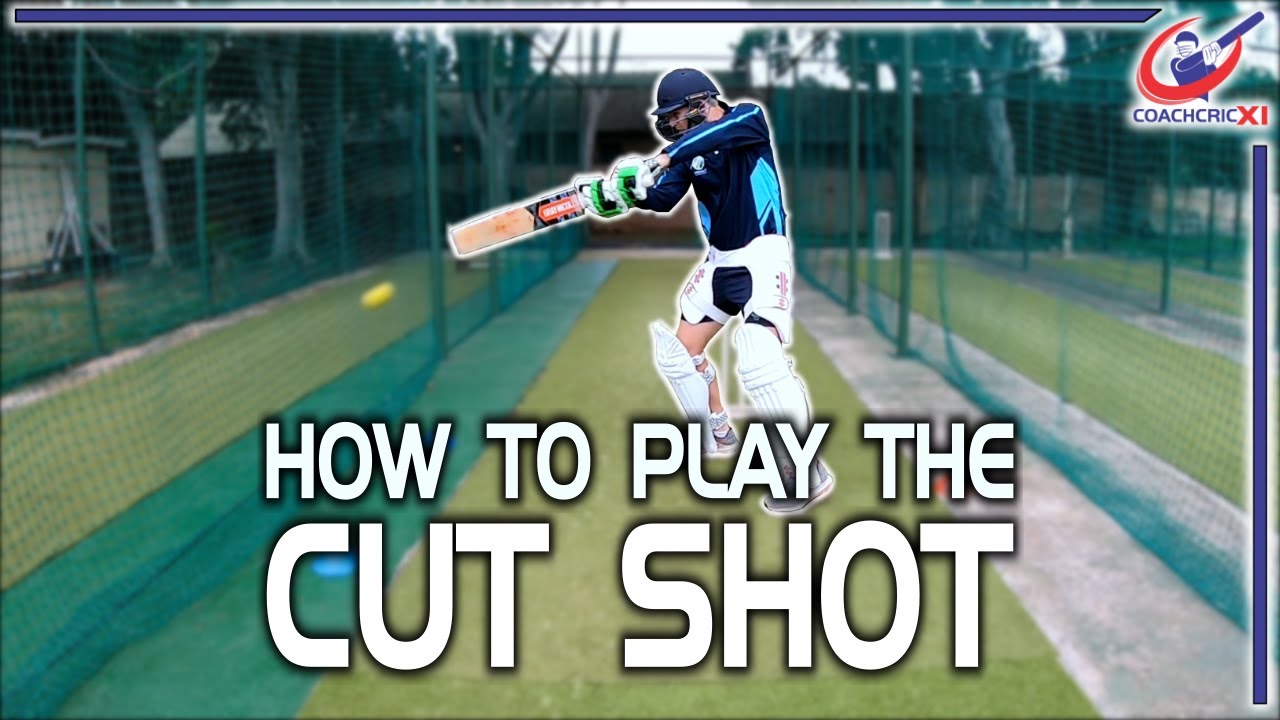 How to play the CUT SHOT | Cut Shot Tutorial and Drills | Cricket Batting Coaching