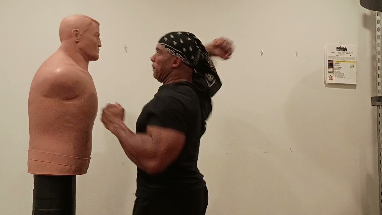 Street Lethal MMA Boxing Combo
