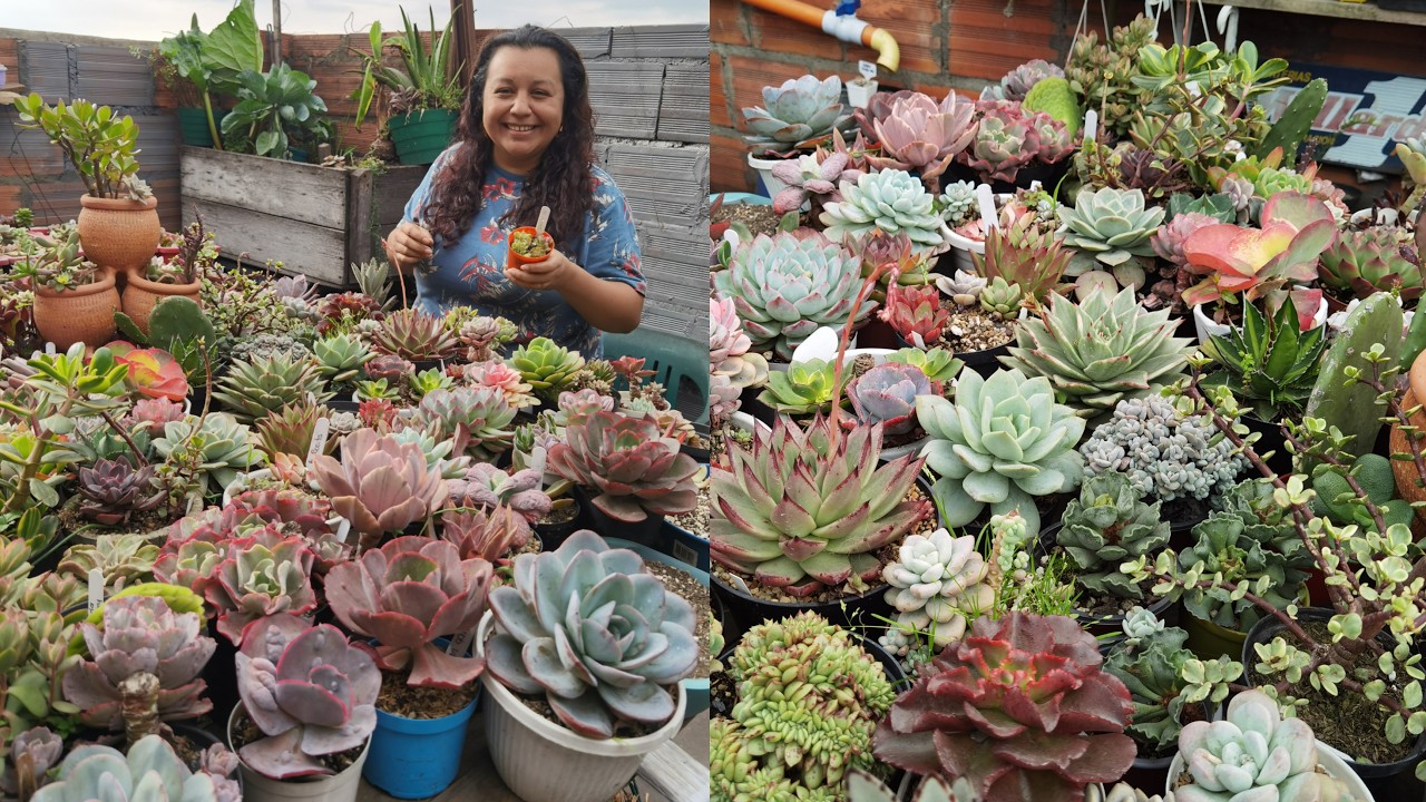 TOUR POR TU JARDÍN: bienvenidos al hermoso jardín de la Sra. Johana 💚