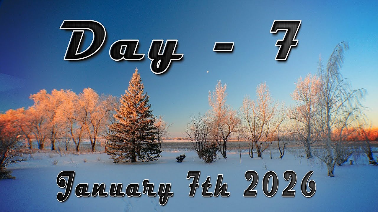 Day seven