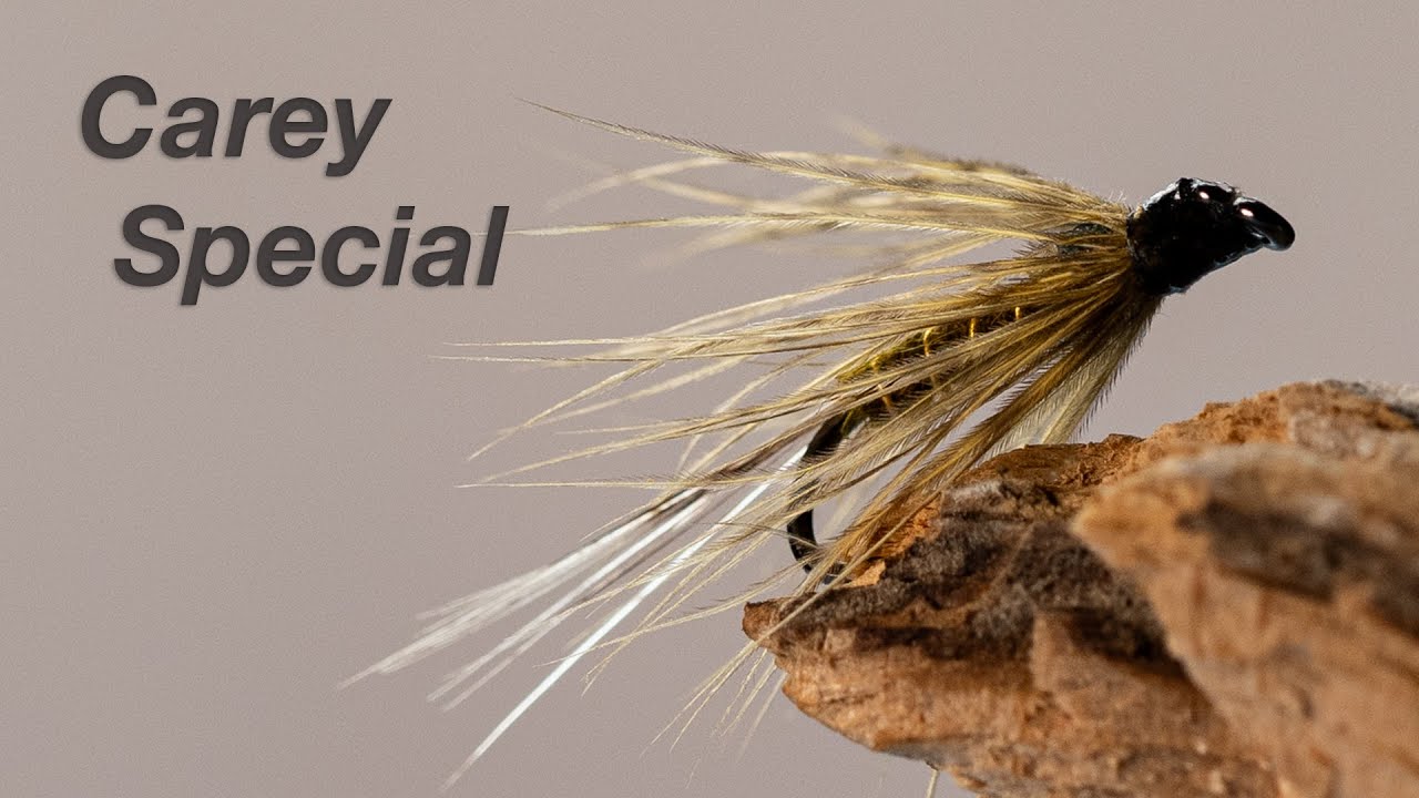 Carey Special