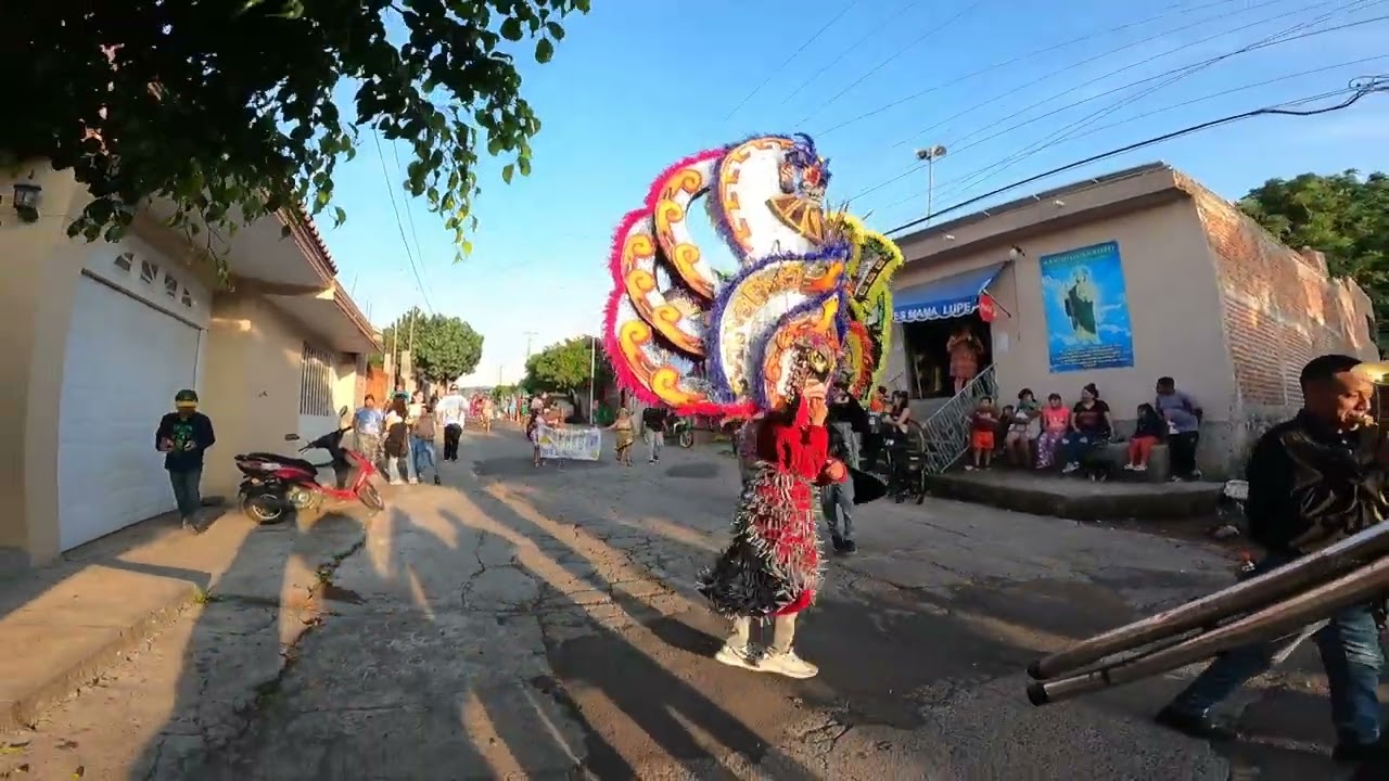 Fiesta de Tecomatan Michoacán