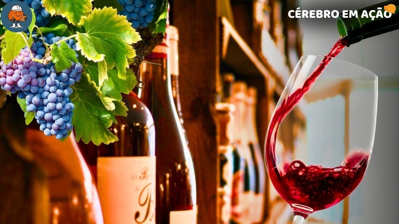 Como o VINHO é Feito? | Processo de Produção