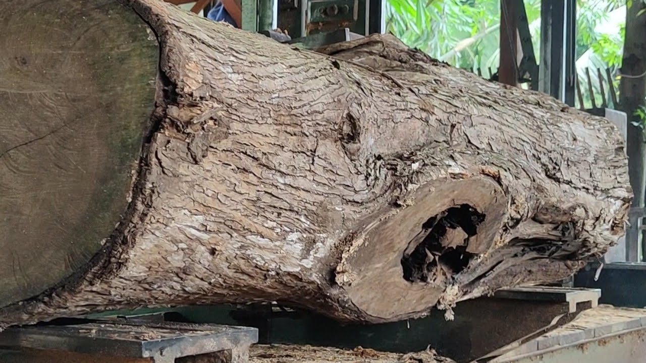 MYSTERIOUS HOLE IN THE WOOD! SURPRISING WHAT WILL HAPPEN AT THE WOODWORKS