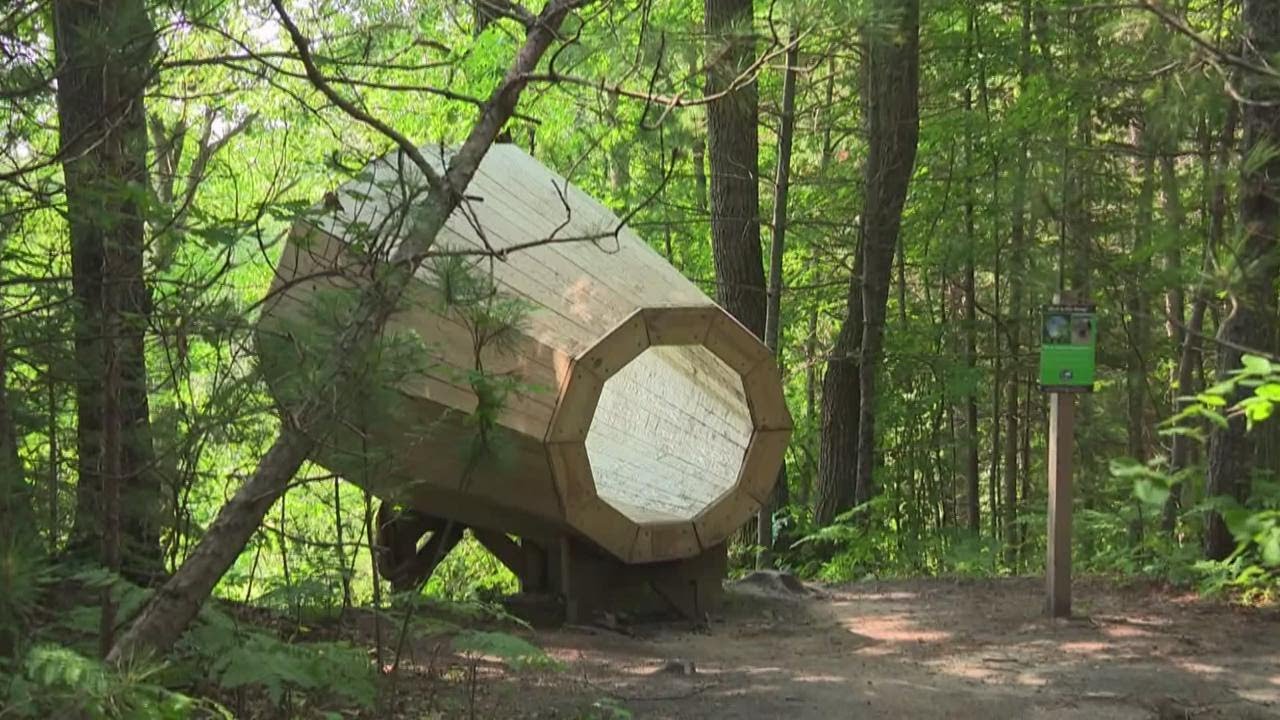 'Nature's Megaphone': Odd-shaped audio device amplifies Michigan woods