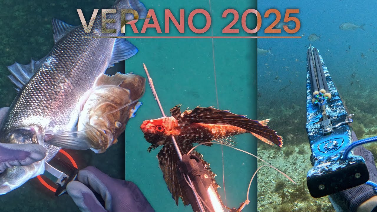 AGUAS TROPICALES en GRANADA | PESCA SUBMARINA