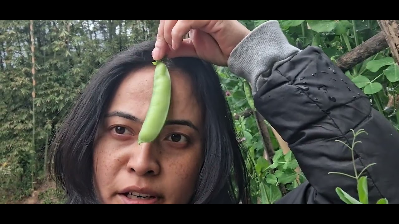 Organic sabji #organic #food #funny 