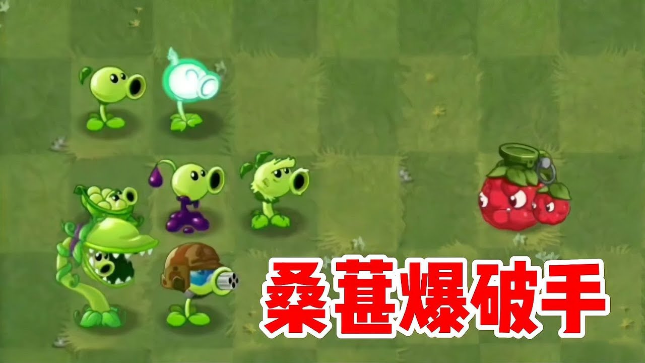 桑葚爆破手驚現！會加入植物軍團還是僵尸王國？答案讓你大飽眼福！ #植物大战僵尸 #PVZ #杂交版 #PVZ杂交版 #游戏解说
