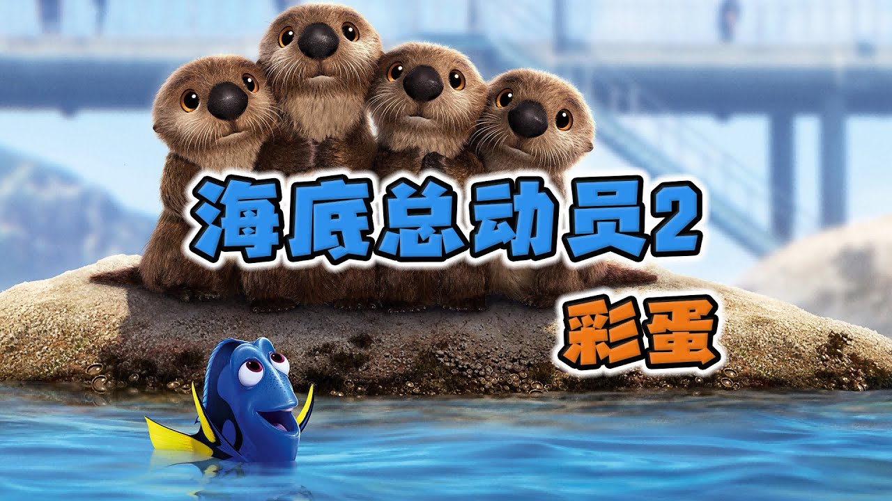 深度挖掘《海底总动员2》彩蛋细节，一部皮克斯的人文关怀教科书