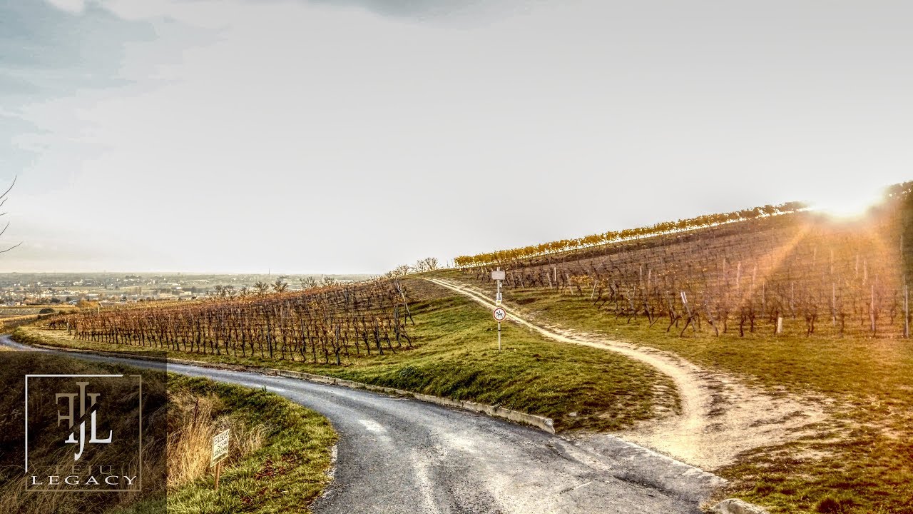【4K】Random wine path walk in M&ouml;dling
