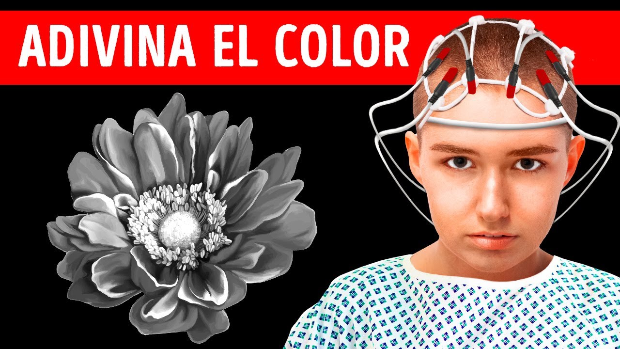 &iquest;Cu&aacute;n poderosa es tu intuici&oacute;n? Realiza esta prueba para averiguarlo