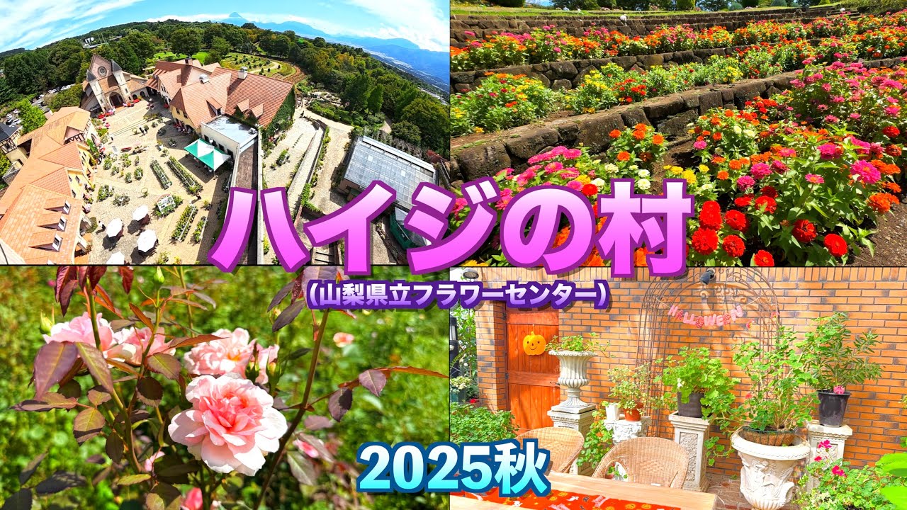 【秋バラ・季節の花の様子】【ハイジの村2025秋】【山梨県　北杜市】／４Ｋ／HEIDI’S  VILLAGE