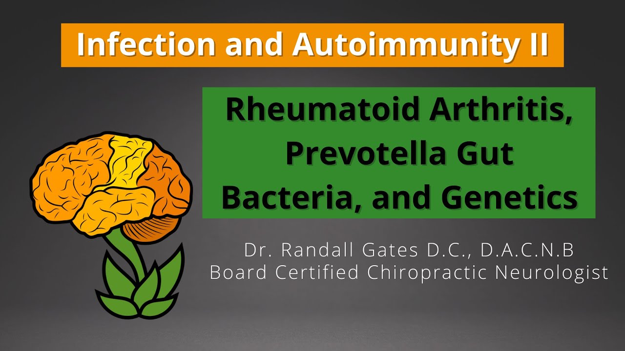 Infection and Autoimmunity Part II: Rheumatoid Arthritis, Prevotella Gut Bacteria, and Genetics.