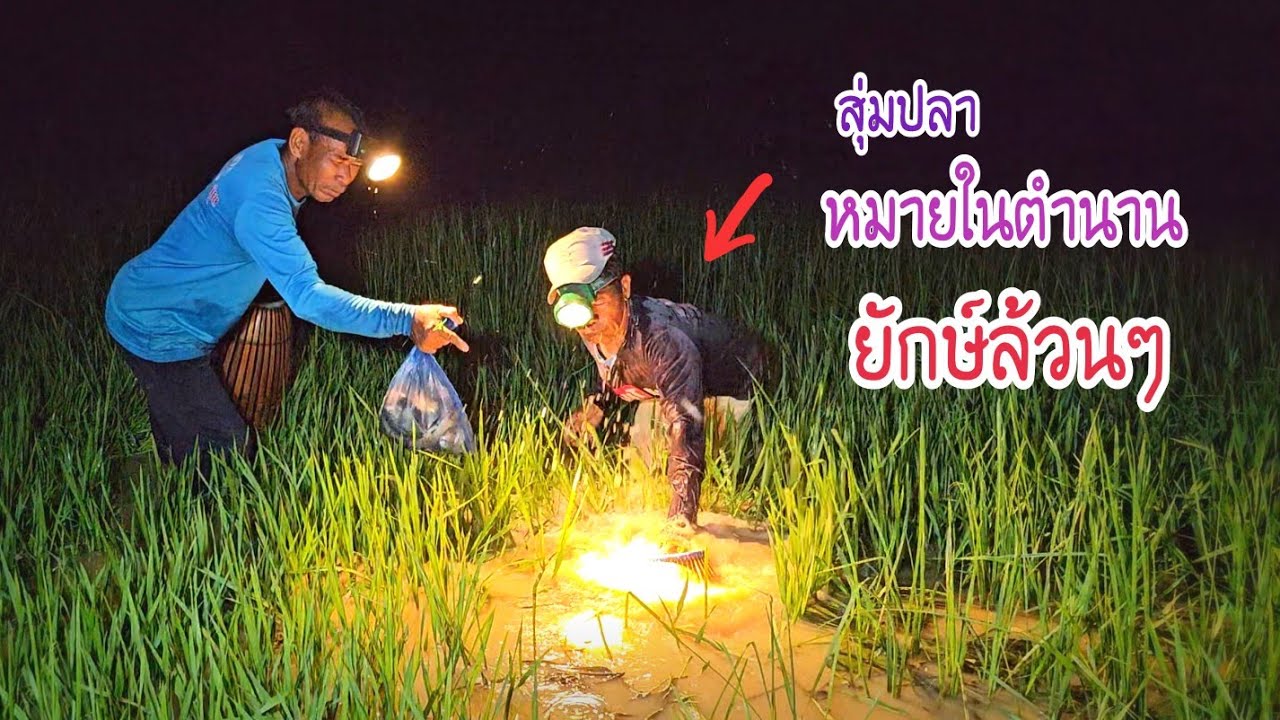 น่าเหลือเชื่อสุ่มปลาหมายในตำนานหลายคนเกือบลืม รอบนี้ฝนไม่ตกไม่แต่เจ้ายักษ์ล้วนๆ