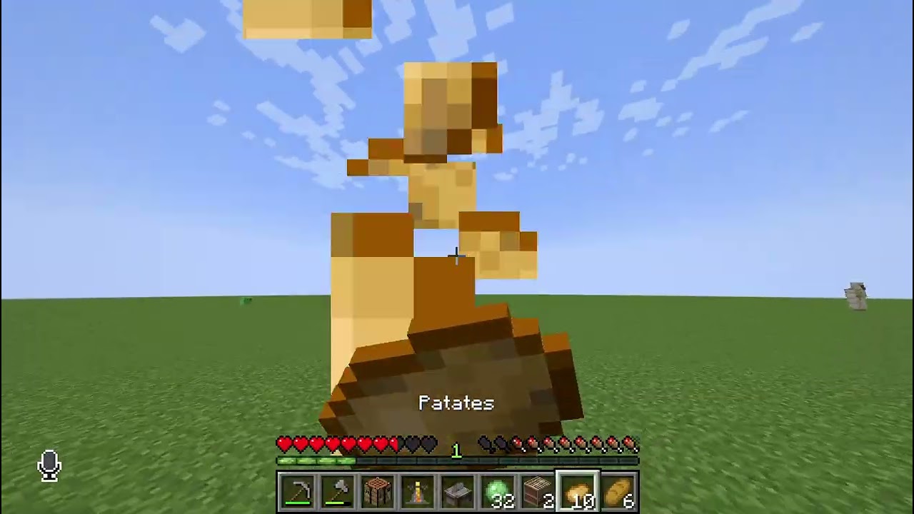Minecraft  düz dünya 1