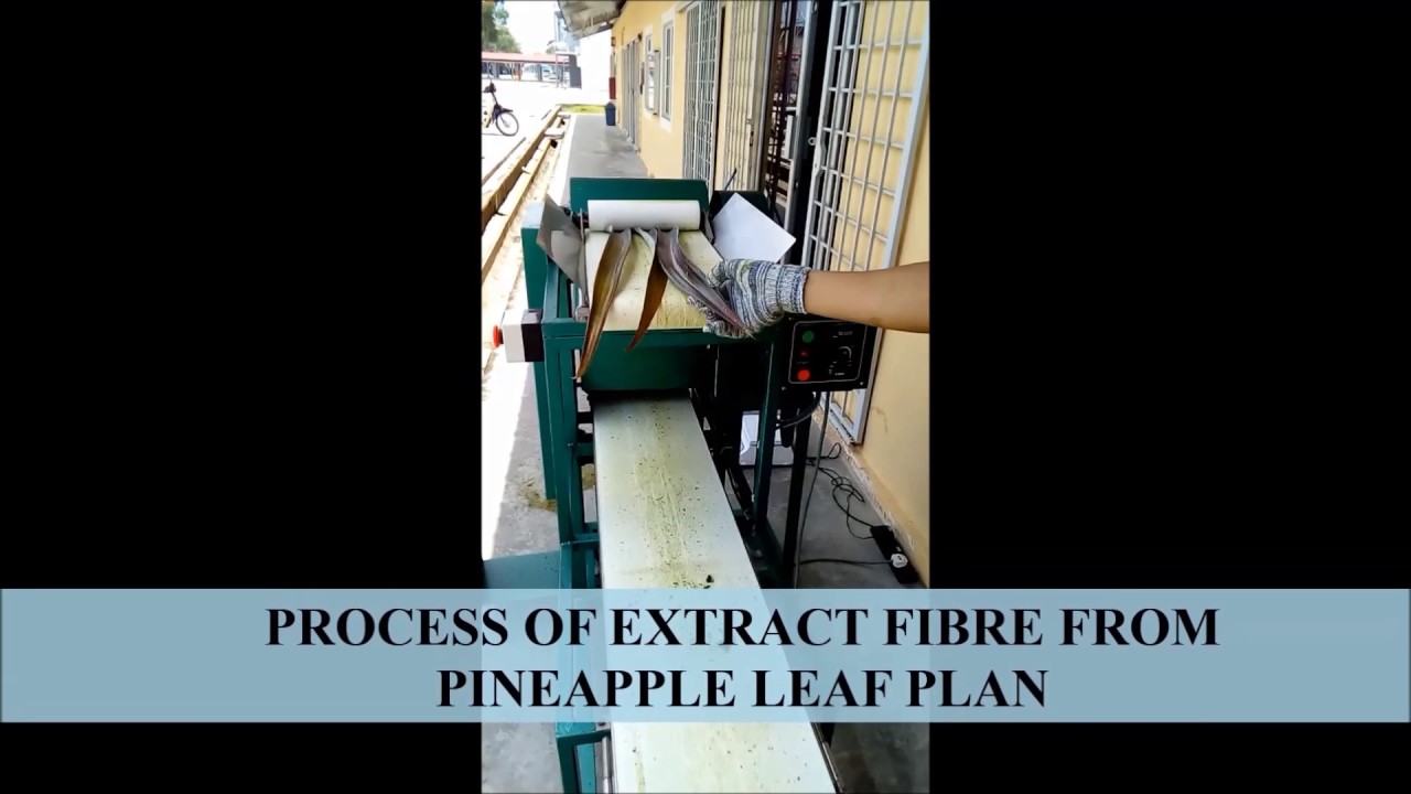 Pineapple Leaf Fibre Machine (PALF M2)