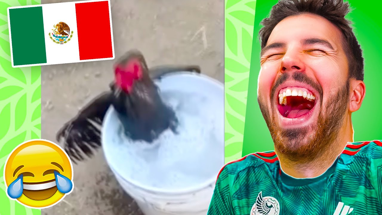 Mejores Memes de Mexico 🤣