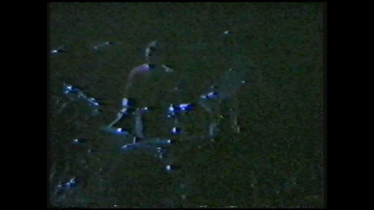 Waterboys - Savage Earth Heart/Pan Within/Je t aime/Higherbound | Manchester March 3 1989