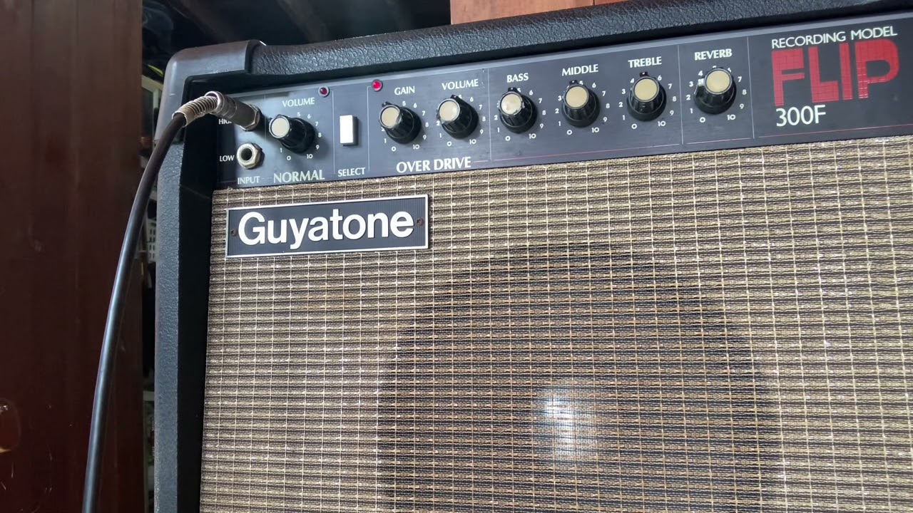 Guyatone flip300f @Peerasin1993