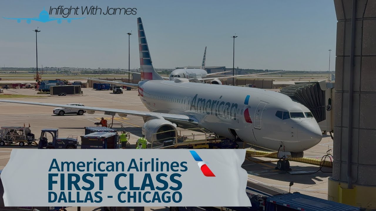 American Airlines First Class | DFW ➡️ ORD | B737-800