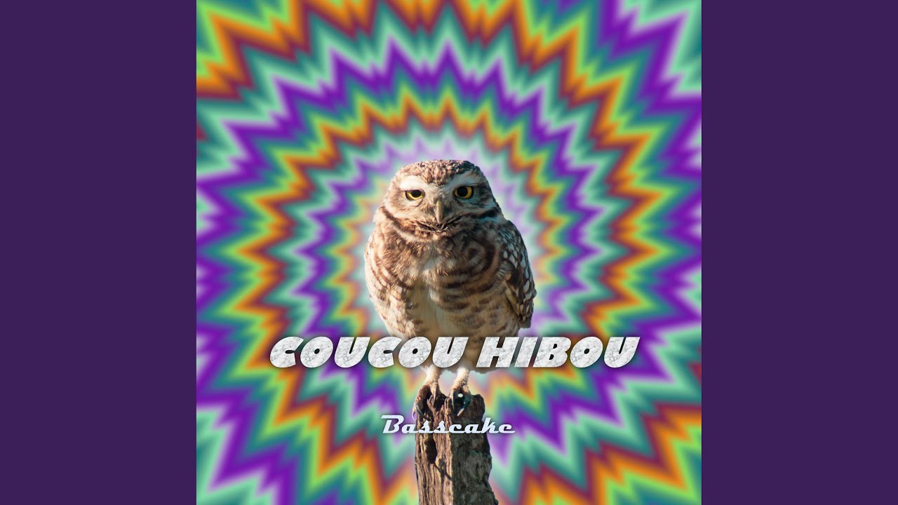Coucou hibou