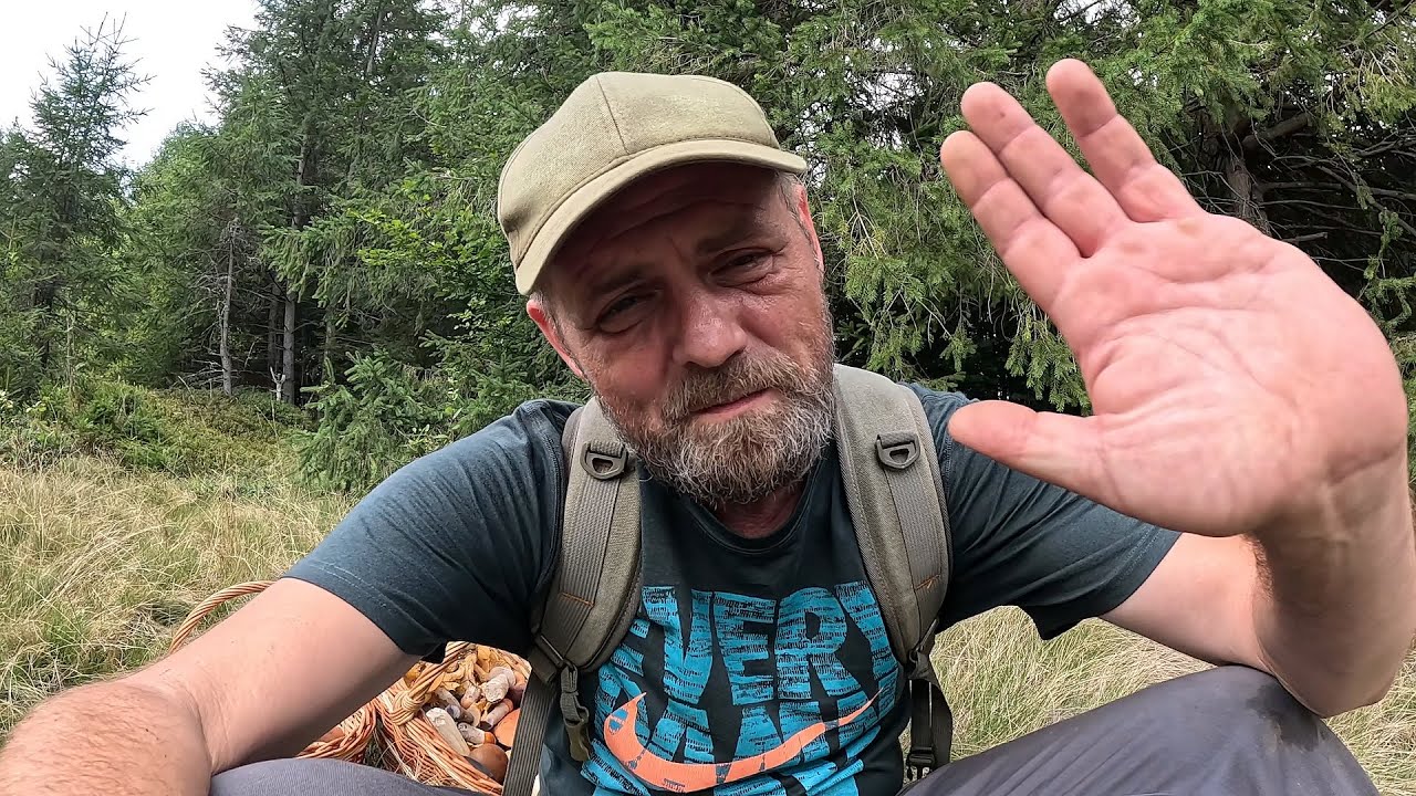 Пішов молодий ГРИБ! Далеко у Горах.Білий та Червоняк! Лисичка скрізь!.Польські Підстерігають!