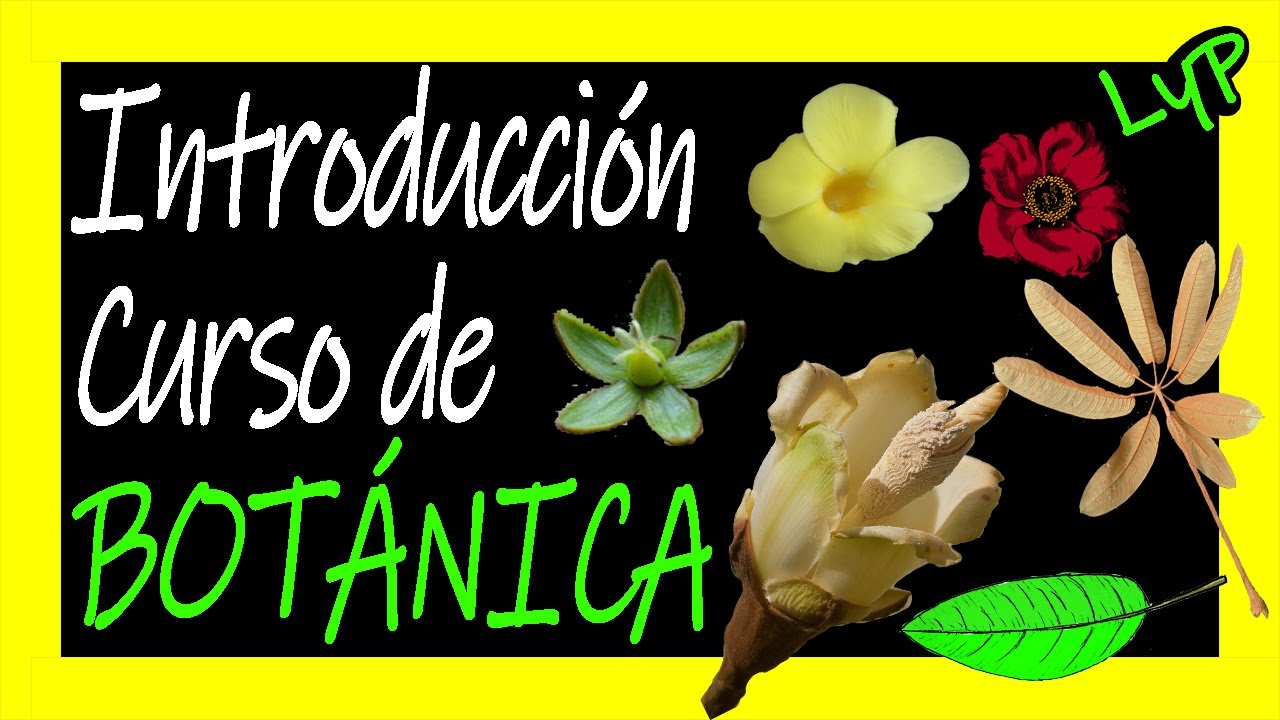 Curso de Botánica 🍃🌿 Introducción - Partes de las hojas, flores y frutos 🔥 Escuela de Ecología 🌳🐻🍂