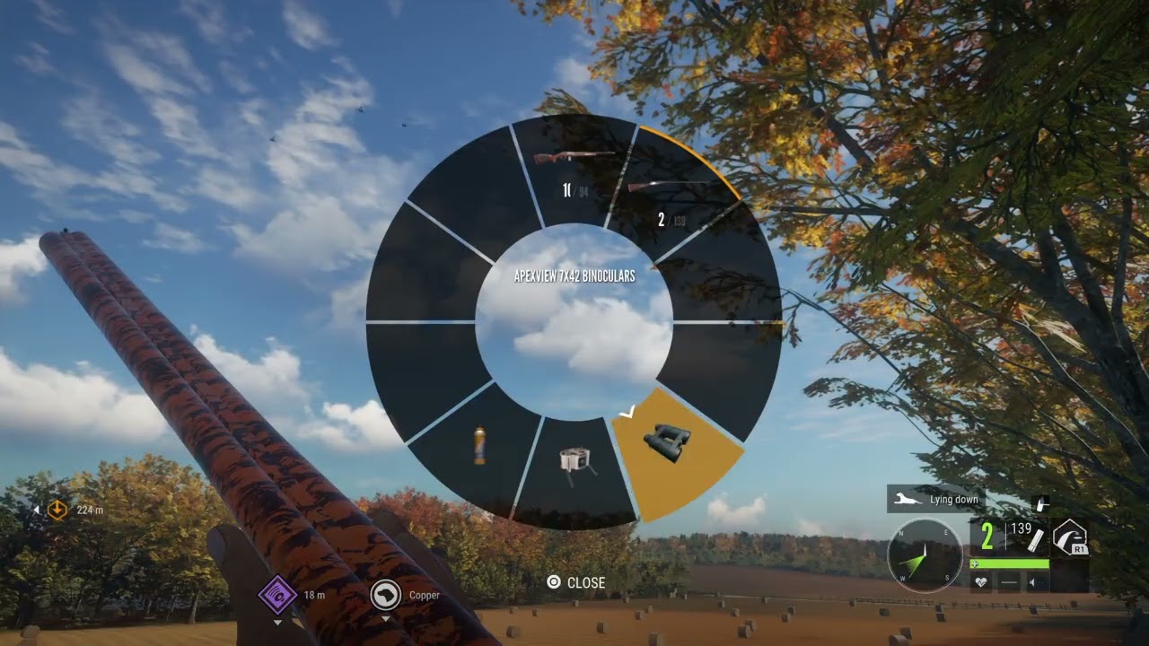 theHunter: Call of the Wild  goose hunting