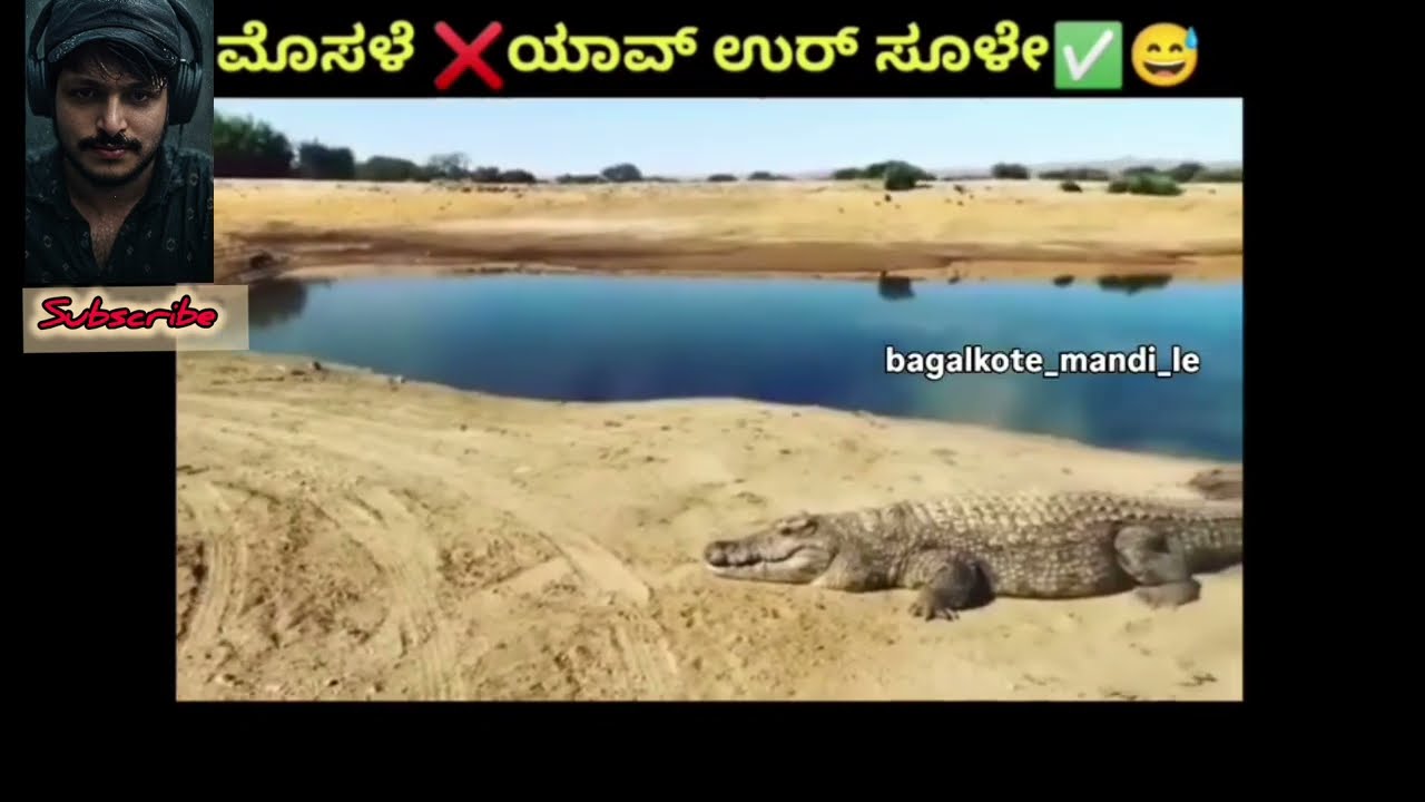 Kannada Comedy Scenes Ever! 😜 | ಕನ್ನಡದ ಹಾಸ್ಯ ದೃಶ್ಯಗಳು