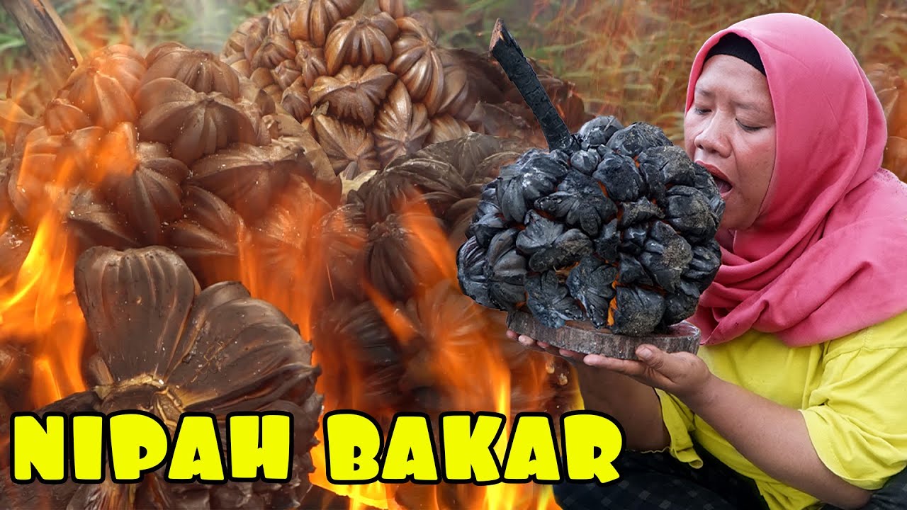 Survival Experimen Mukbang Buah Nipah Bakar Ditengah Hutan