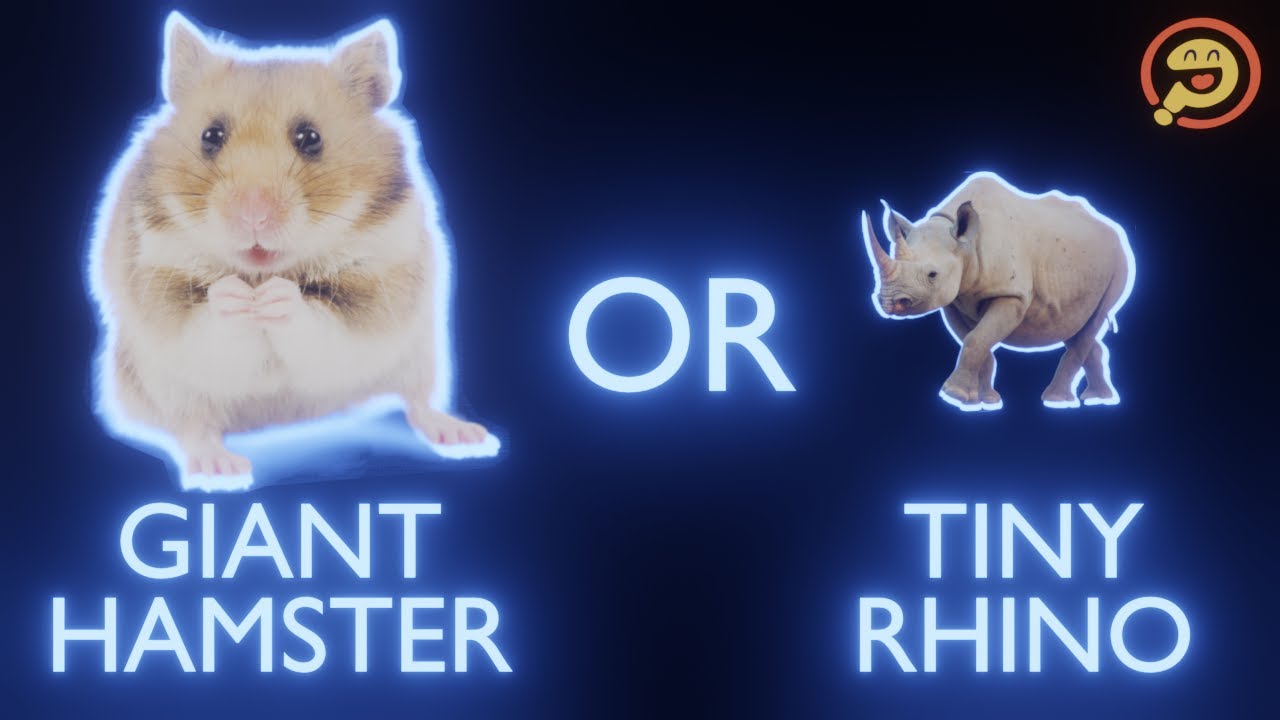 Giant Hamster OR Tiny Rhino? - Absurd Hypotheticals Highlights (PODCAST)