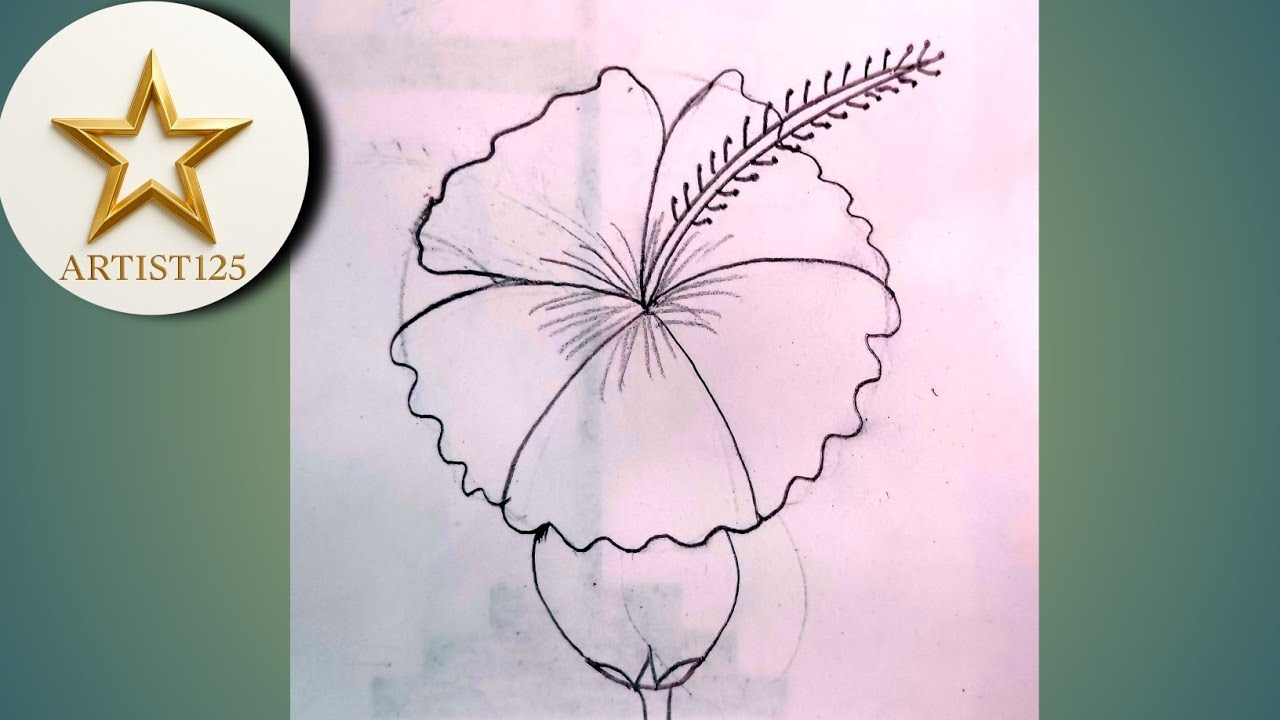 Hibiscus Flower Drawing Easy | Gudhal Phool Pencil Sketch | Step by Step Drawing for Beginners