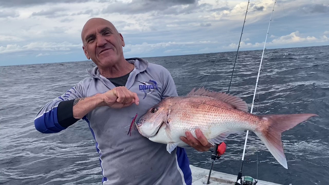 💥BIG RED SNAPPERS MID NORTH COAST💥